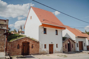 Pura Vida Vrbice, Vrbice